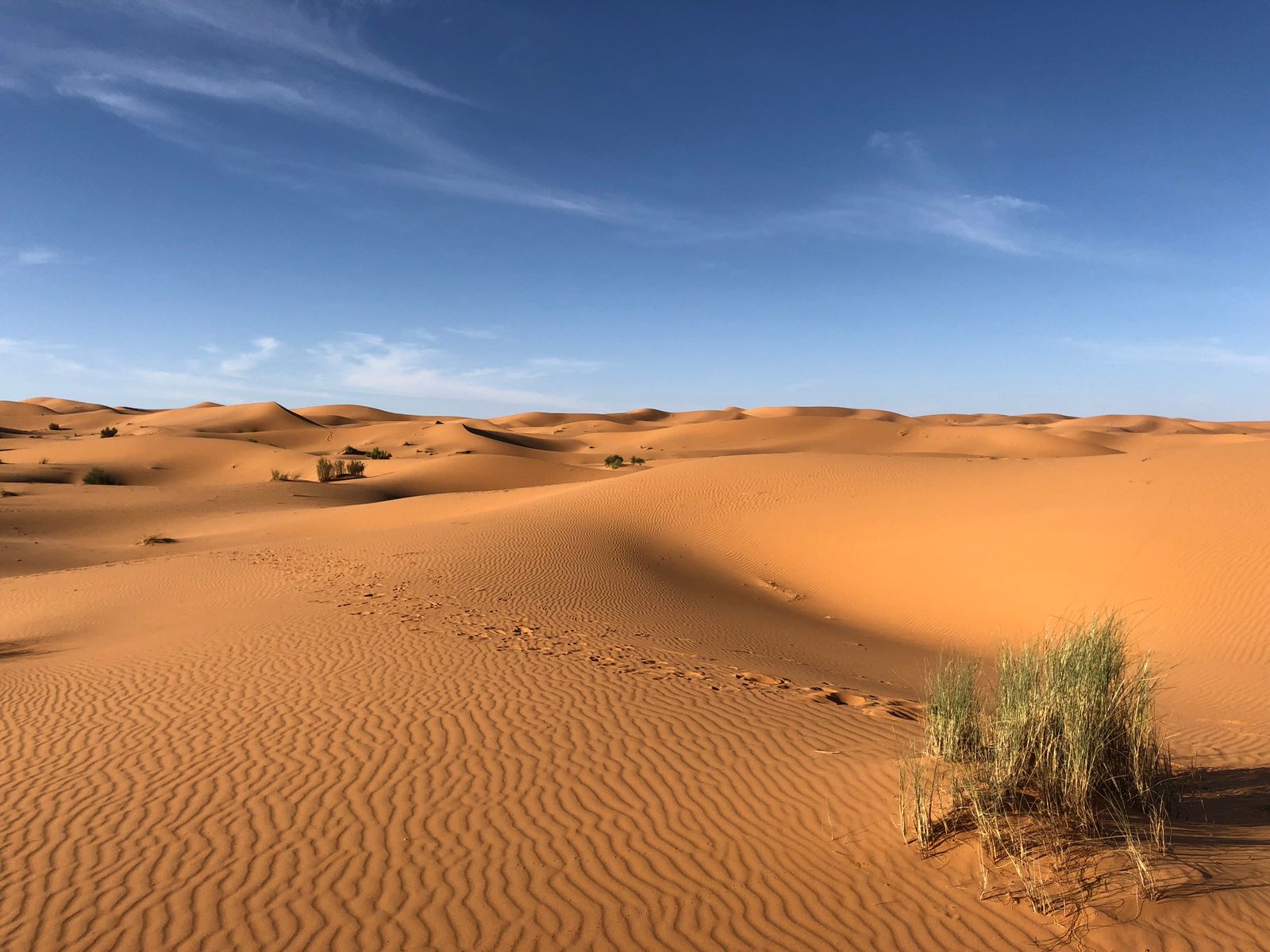 Egyptian desert landscape